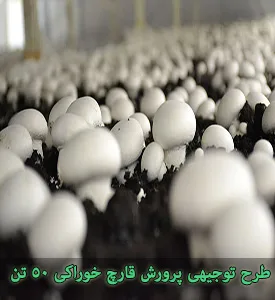 طرح توجیهی پرورش قارچ خوراکی با ظرفیت 50 تن