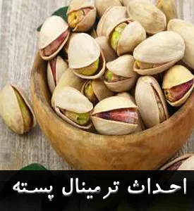 طرح توجیهی احداث ترمینال پسته
