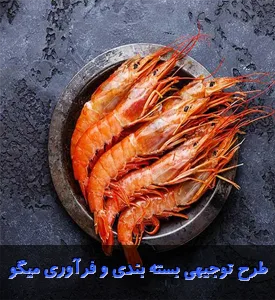 طرح توجیهی بسته بندی و فرآوری میگو
